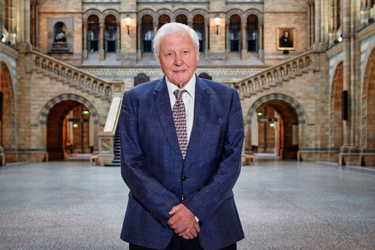 David Attenborough in the Natural History Museum ahead of the official opening of Our Story with David Attenborough