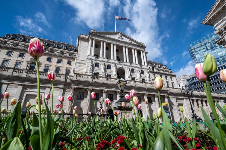 Tulips blooming in front of the Bank of England.