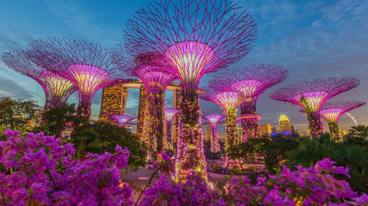 Be immersed with a Far East Adventure cruise and stay 